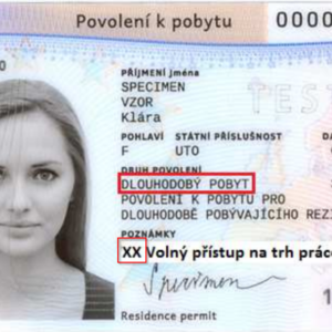 apply for residence permit online with expert support