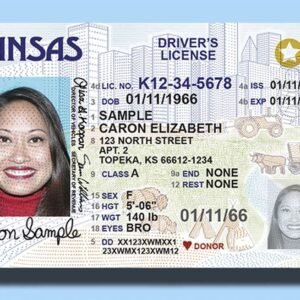 Buy Fake ID Card of USA
