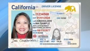 Buy Fake ID Card of USA