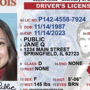 Fake Illinois Driver’s License