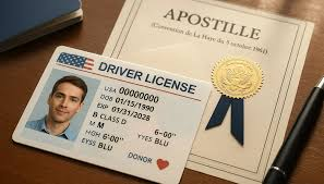 US driver's license guide