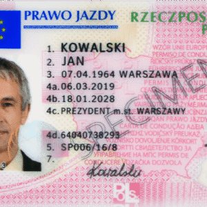 Fake German Driver’s License