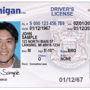 Fullz CC With Michigan Driver's License And SSN
