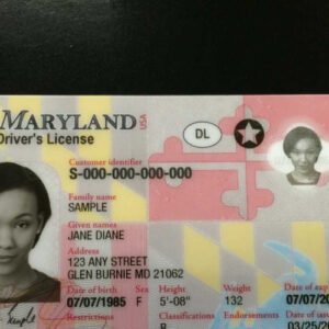 Fullz CC With Maryland Driver's License And SSN
