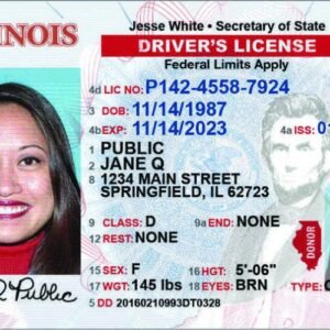 Fullz CC with Illinois Driver's License and SSN