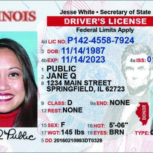 Fullz CC with Illinois Driver's License and SSN