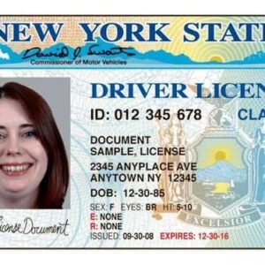 Buy Fake New York Driver’s License