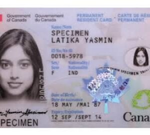 Buy Canada Driver’s License