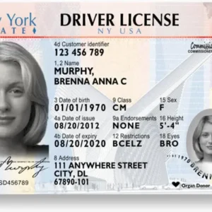 Fake New York Driver’s License