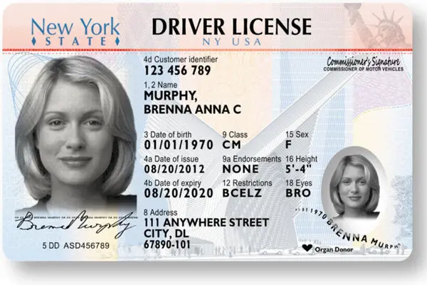 Fake New York Driver’s License